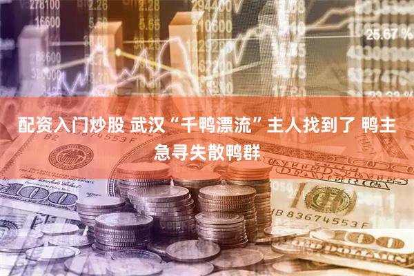 配资入门炒股 武汉“千鸭漂流”主人找到了 鸭主急寻失散鸭群